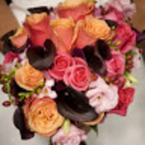 Meet your Posher, Abear